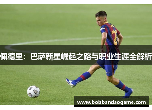 佩德里：巴萨新星崛起之路与职业生涯全解析