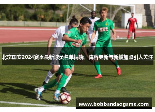 北京国安2024赛季最新球员名单揭晓，阵容更新与新援加盟引人关注