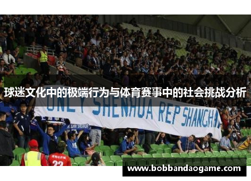 球迷文化中的极端行为与体育赛事中的社会挑战分析