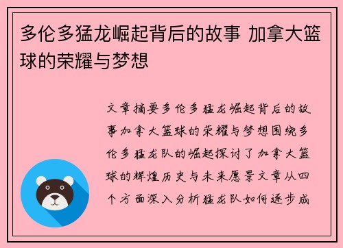 多伦多猛龙崛起背后的故事 加拿大篮球的荣耀与梦想