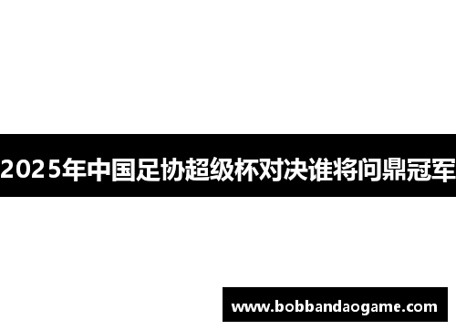 2025年中国足协超级杯对决谁将问鼎冠军